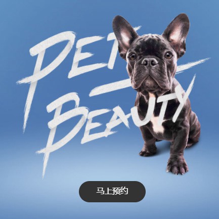 四平宠物中心小程序开发